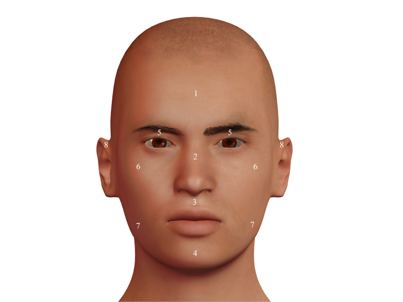 Áreas faciales